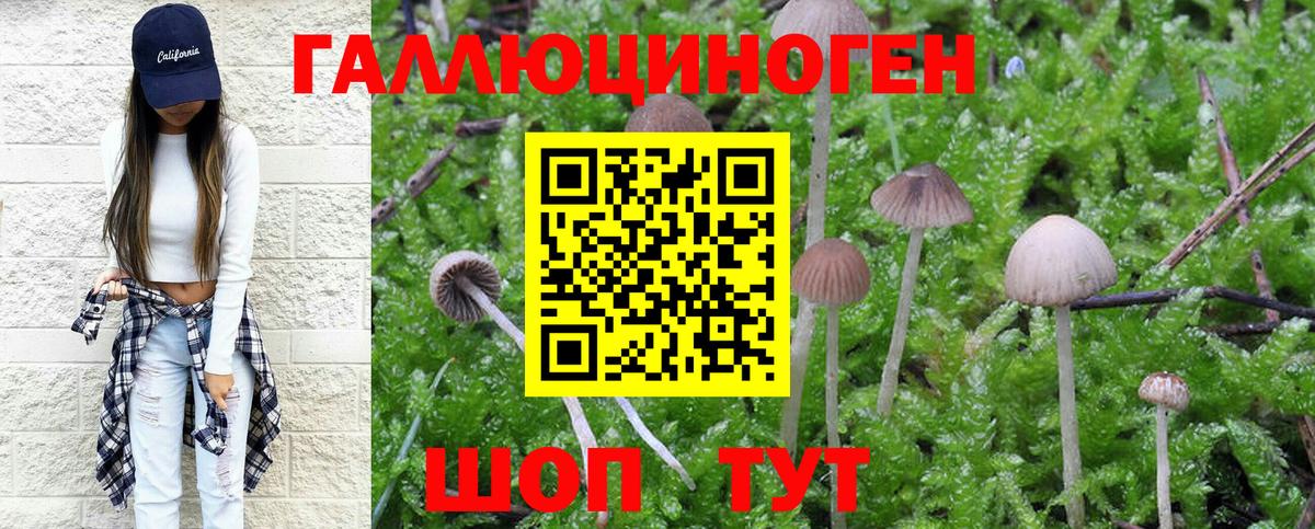 Псилоцибиновые грибы прущие грибы Ишимбай
